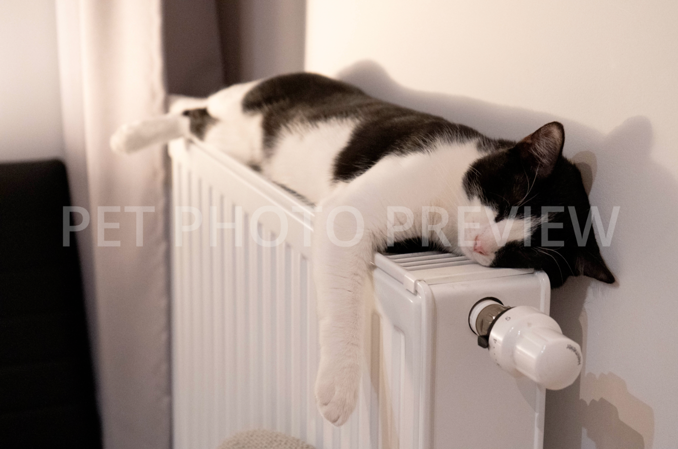 Black and White Cat Sleeping on Radiator – Cozy Cat Stock Photo