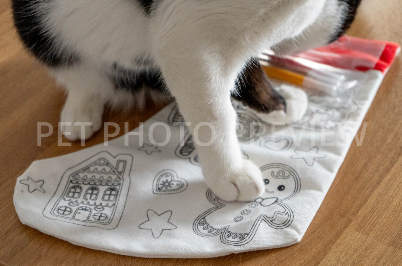 Black and White Cat Standing on Christmas Stocking – Cozy Holiday Pet Stock Photo